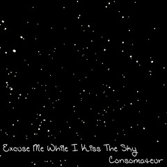 Excuse Me While I Kiss The Sky