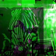 spinspun