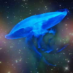 Jellyfish In Space