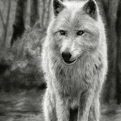 Jack Queen - Haitusselfshelf