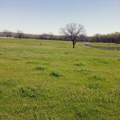 Lonely Day In The Field