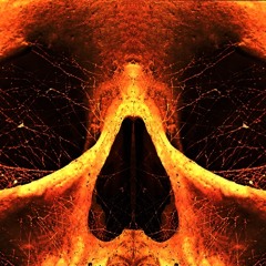 Once Loyal - Ominous (used)