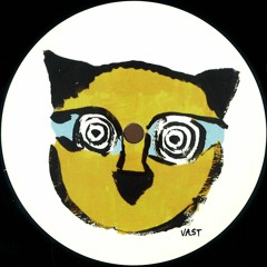 SOV004 Sierra Sam & Pascal Hetzel - Wild Things EP