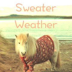 The Neighbourhood - Sweater Weather (oXu Remix)