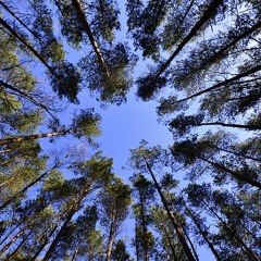 Earth,Wind,&Fire-In The Market Place(JimmyIV Remix)