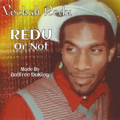 Vockah Redu - Redu Or Not (AntFree DaKing Mix)