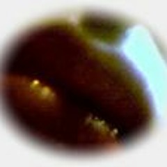 The Strange Walls. White. Nodrogyet mix.