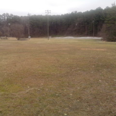 Field Visitation (unmastered)