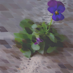 IRIS (Prod. by Mike Kalombo)