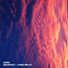 Living Mix: 01