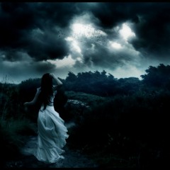 Under Sky
