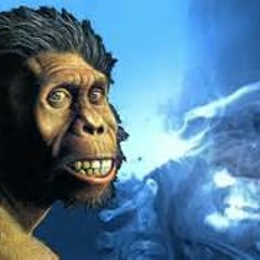 Sapiens