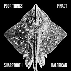 LOVES019 - Poor Things / Pinact / SHARPTOOTH / Halfrican - split EP