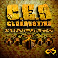 02 Caminando En Las Calles