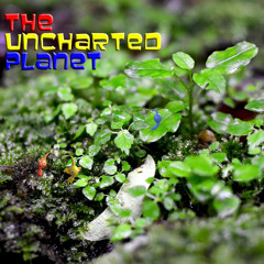 the uncharted planet