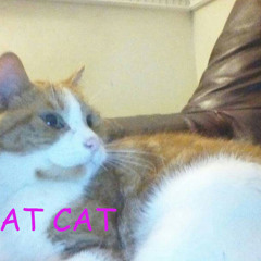 i like distortion lots