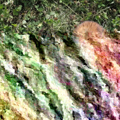 Jährlich Grüßt die Schlammfliege