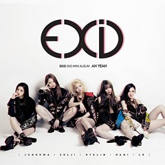 EXID (이엑스아이디 ) - AH YEAH (아예) (Cover)