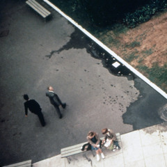 The View To The Road