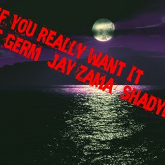 If You Really Want It ft Germ, Jay Zama, Shadyboy Mainy