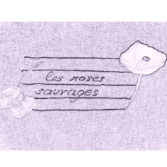 roses sauvages