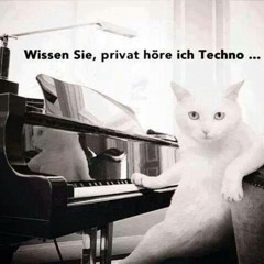 Wissen Sie, Privat Höre Ich Techno!