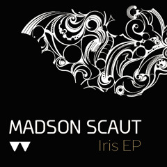 Madson Scaut - Lab (Original Mix)