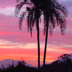 Take A Walk On My Side