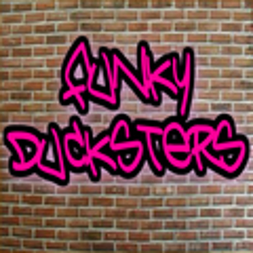 Funky Ducksters - Like A Virgin (Acid Stylee)