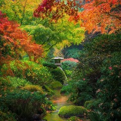 The Flikering Of The Flame