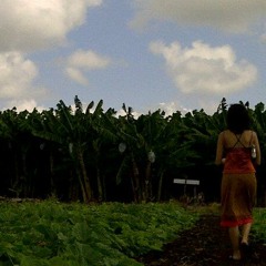 Sparkle "Why She Left" (Neo Tempo Valley: Live at Higher Ground II) 2009.