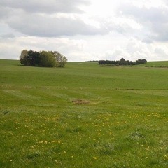 "The Language of Water" or "Do you speak water?"