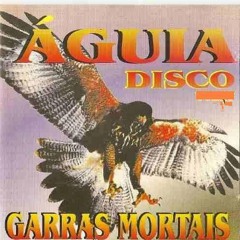 Sequência Da Equipe Águia Disco I