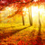 Artwork for Autumn Shade II - The Vines(cover by PoyoStoner)