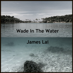 Wade In The Water (Traditional Folk Song)