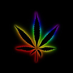 Insain Clown Posse at Hocus Pocus