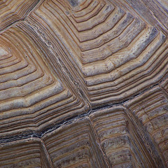 Musica Prehispanica.