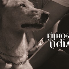 Vem Curtir Um Rock 'n' Roll