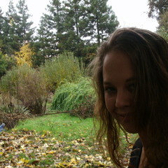 Why Walk When You Can Fly (cover@ mary chapin carpenter)