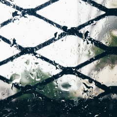 Raindrops