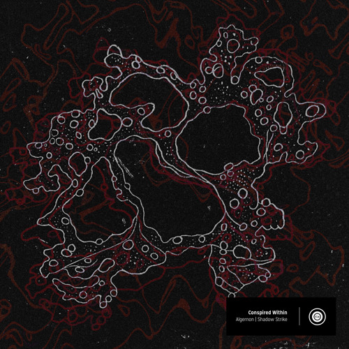 Conspired Within -  Shadow Strike