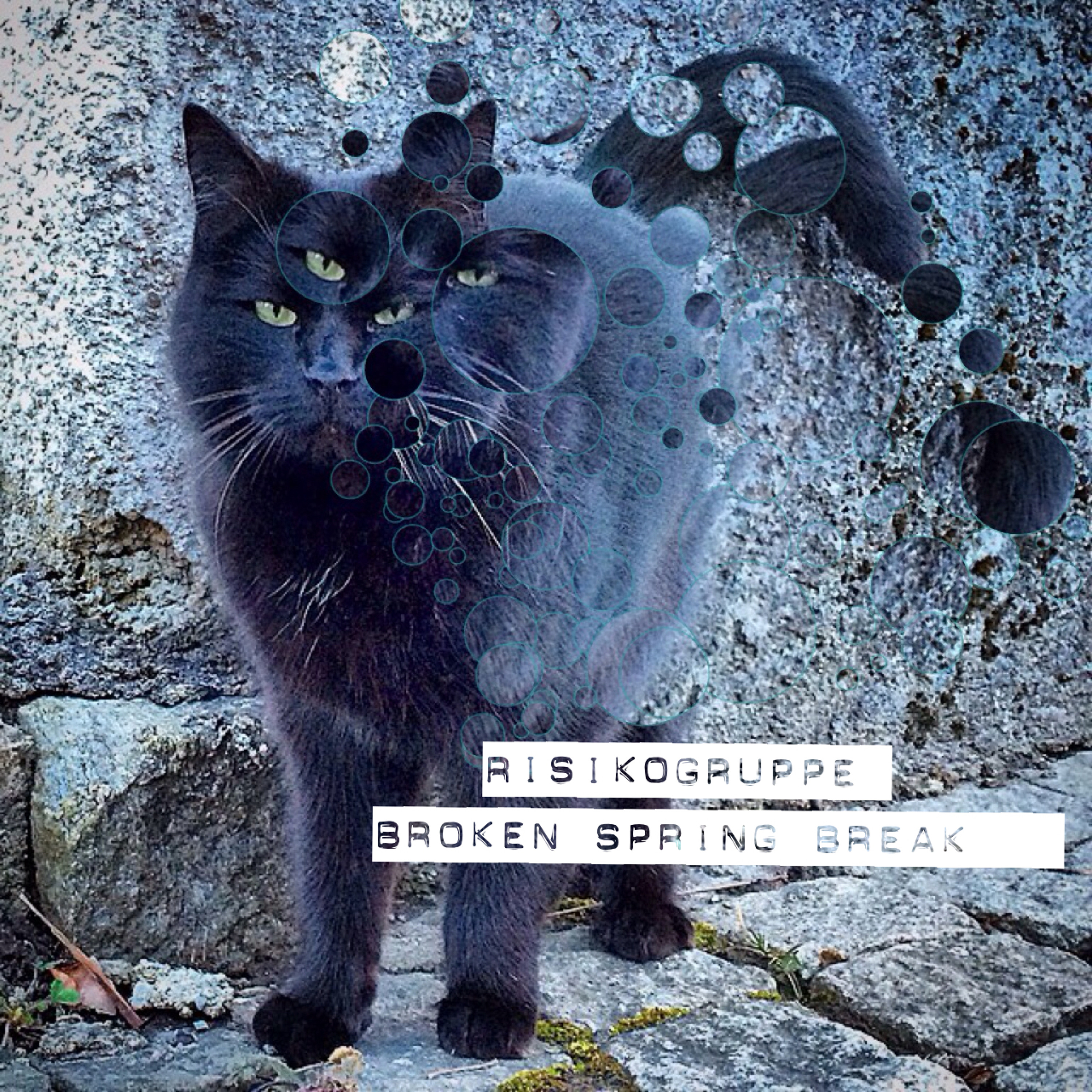 Paco / Risikogruppe - Broken Spring Break episode artwork