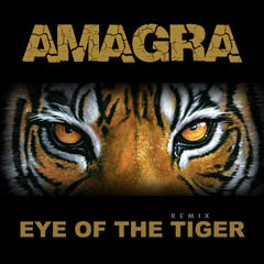 Eye Of The Tiger - FREE DOWNLOAD