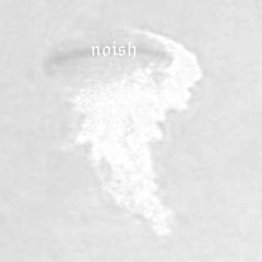 Noish 21 P 2le Exquisite Collage