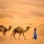 Artwork for DESERT OF SAHARA