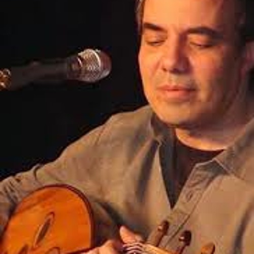 شجر المشمش