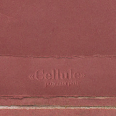 Albertine