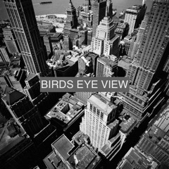 Birds Eye View Demo