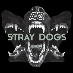 Stray Dogs
