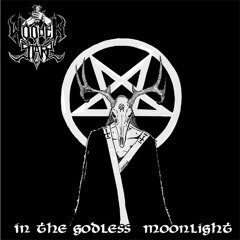 WOODEN STAKE In the godless moonlight